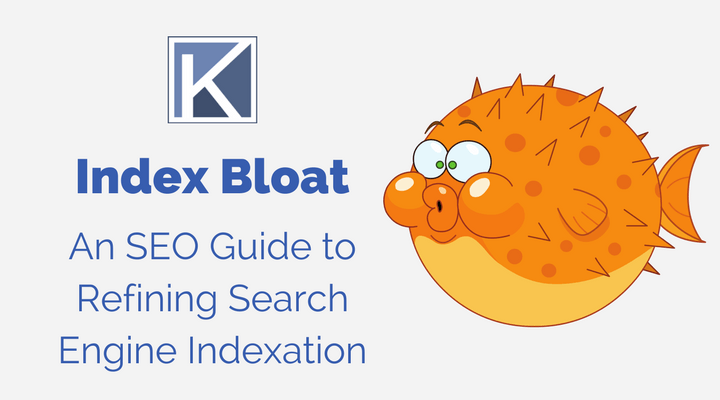Google index bloat (SEO)
